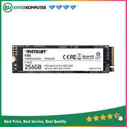 Patriot P300 256GB M.2 2280 PCIe Gen3 x4 - R1700MB/s W1100MB/s