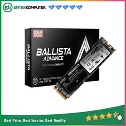 Paradox Gaming Ballista Advance SSD 512GB M.2 NVMe 2280